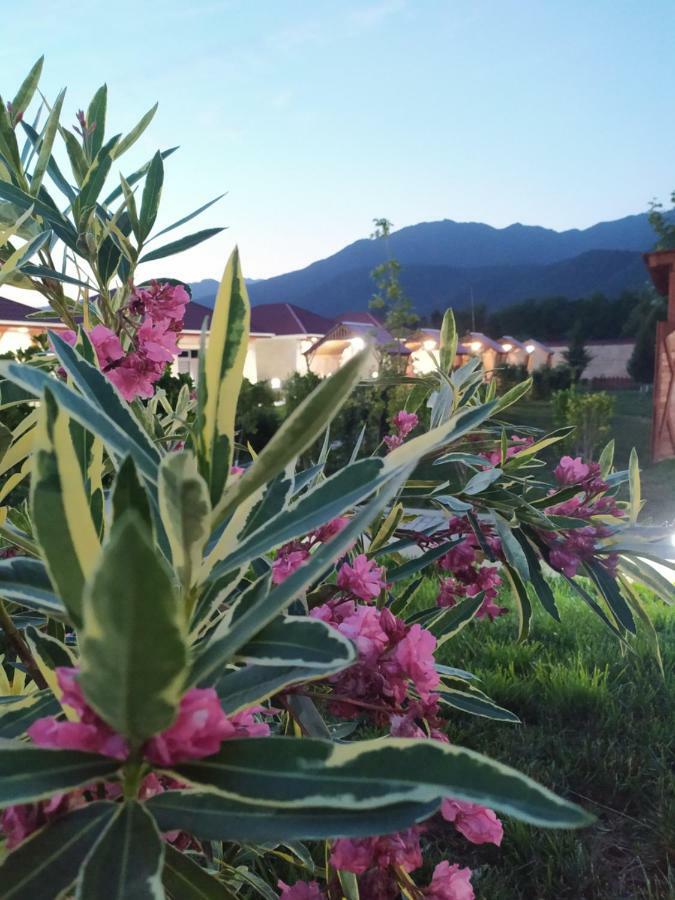 Bliss Inn Boutique Hotel ガバラ エクステリア 写真